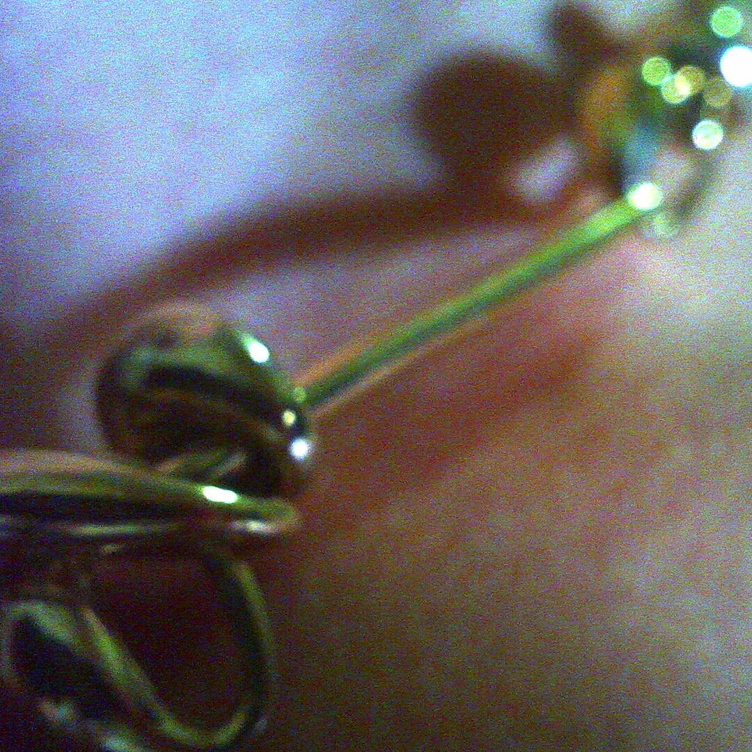 Roda Multiple Necklace