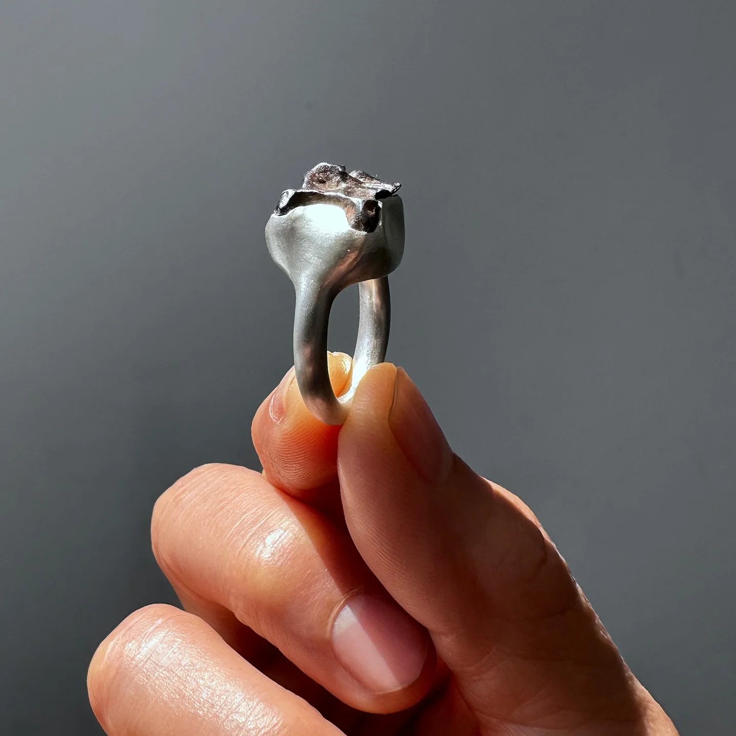 Sikhote-Alin Meterorite Ring- B