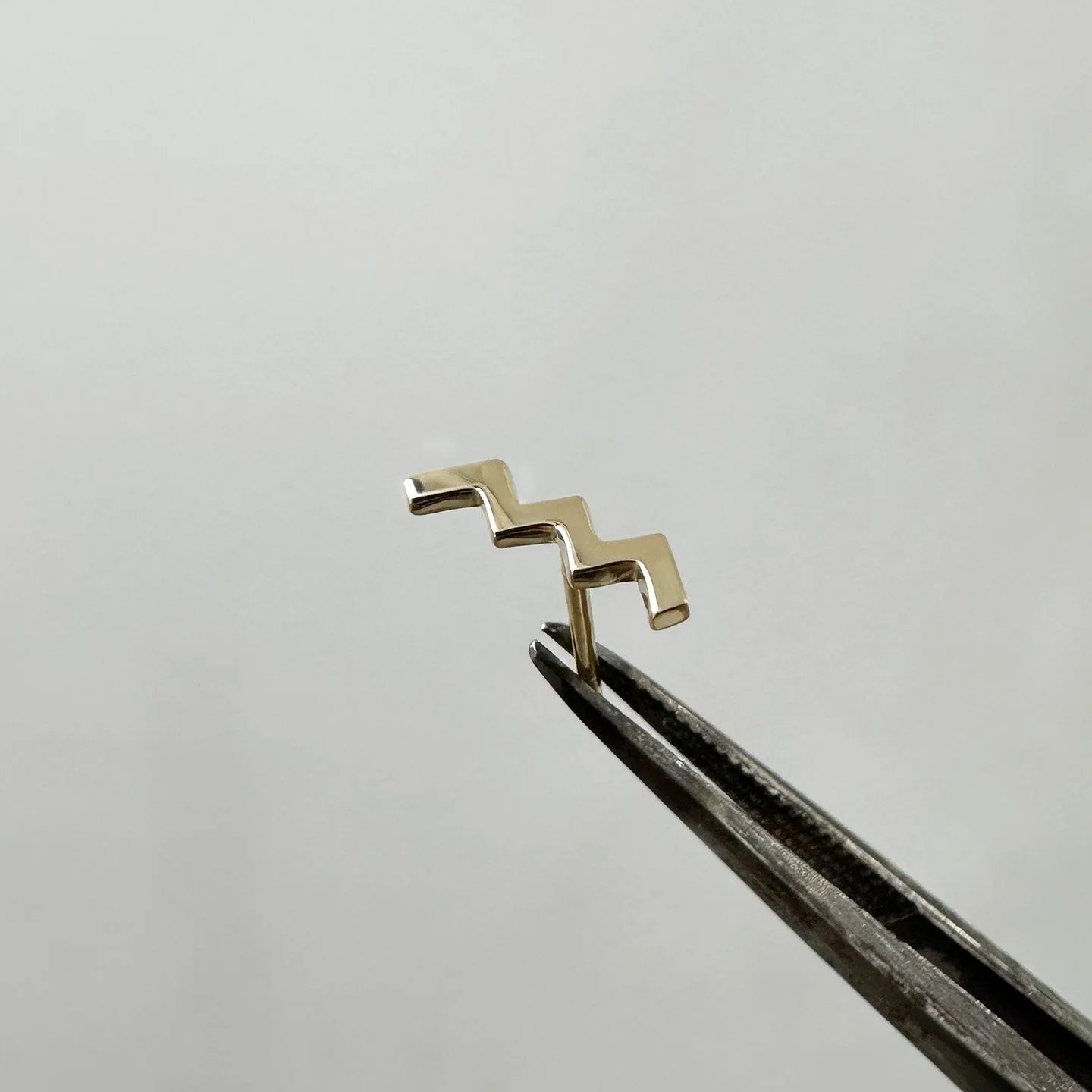 WW Earring