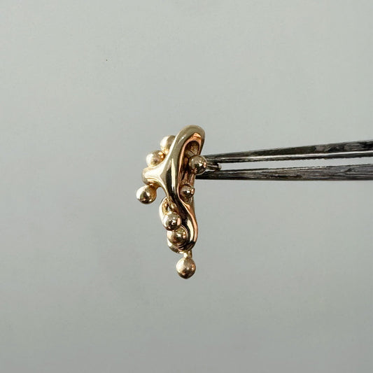 Lai Earring-Bump Cluster