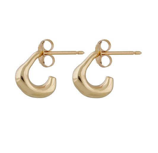 Locit Earring